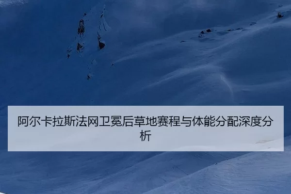 a-er-ka-la-si-fa-wang-wei-mian-hou-cao-di-sai-cheng-yu-ti-neng-fen-pei-shen-du-fen-xi-2-850.jpg